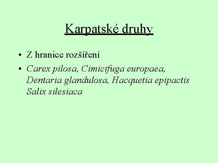 Karpatské druhy • Z hranice rozšíření • Carex pilosa, Cimicifuga europaea, Dentaria glandulosa, Hacquetia