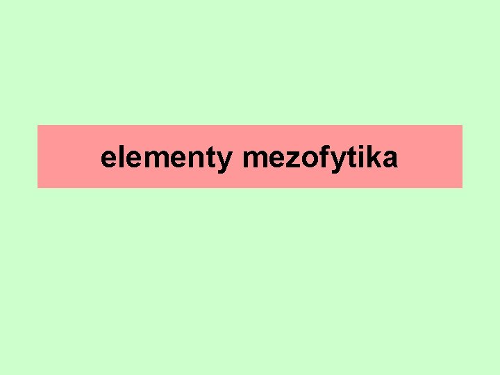 elementy mezofytika 