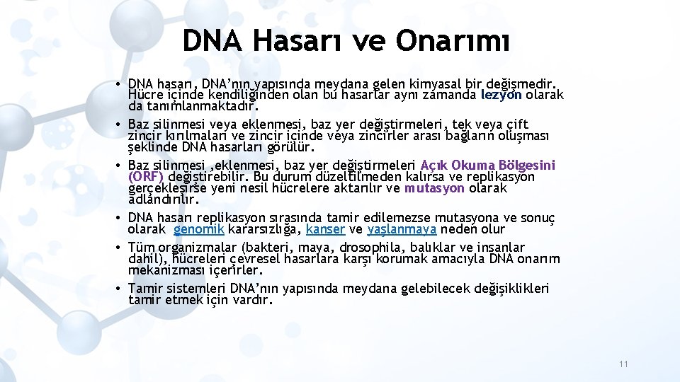 DNA Hasarı ve Onarımı • DNA hasarı, DNA’nın yapısında meydana gelen kimyasal bir değişmedir.