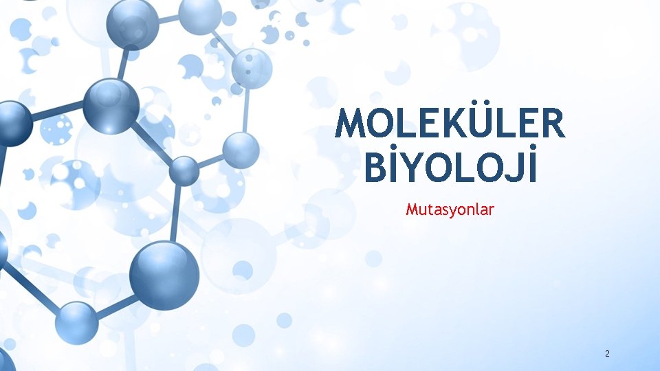 MOLEKÜLER BİYOLOJİ Mutasyonlar 2 