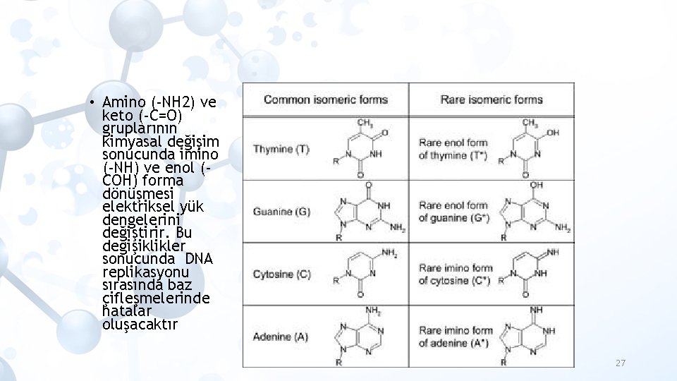  • Amino (-NH 2) ve keto (-C=O) gruplarının kimyasal değişim sonucunda imino (-NH)
