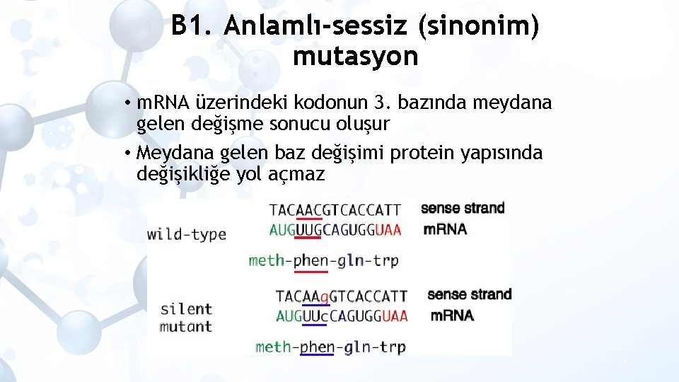 B 1. Anlamlı-sessiz (sinonim) mutasyon • m. RNA üzerindeki kodonun 3. bazında meydana gelen