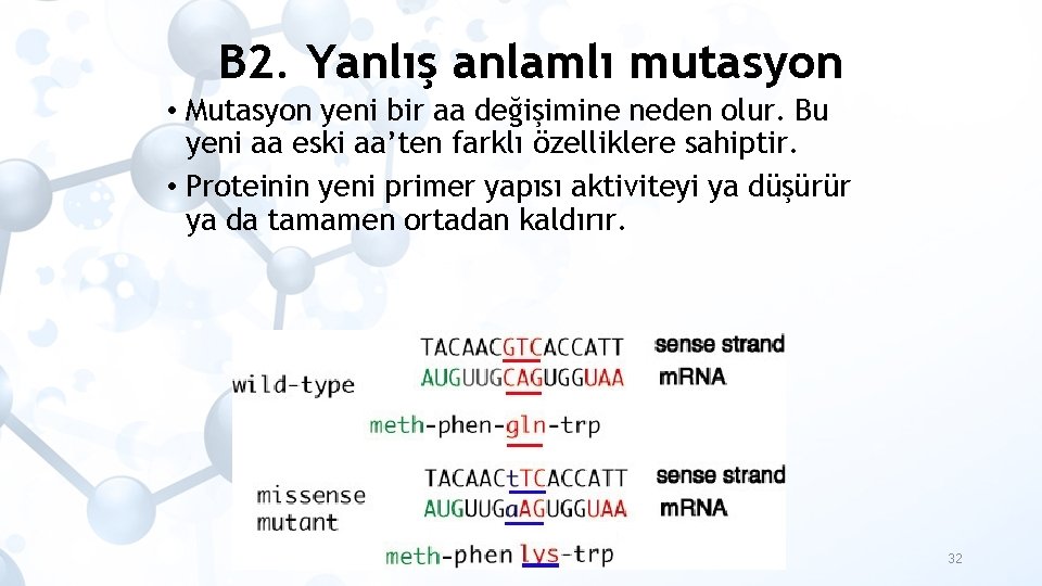 B 2. Yanlış anlamlı mutasyon • Mutasyon yeni bir aa değişimine neden olur. Bu