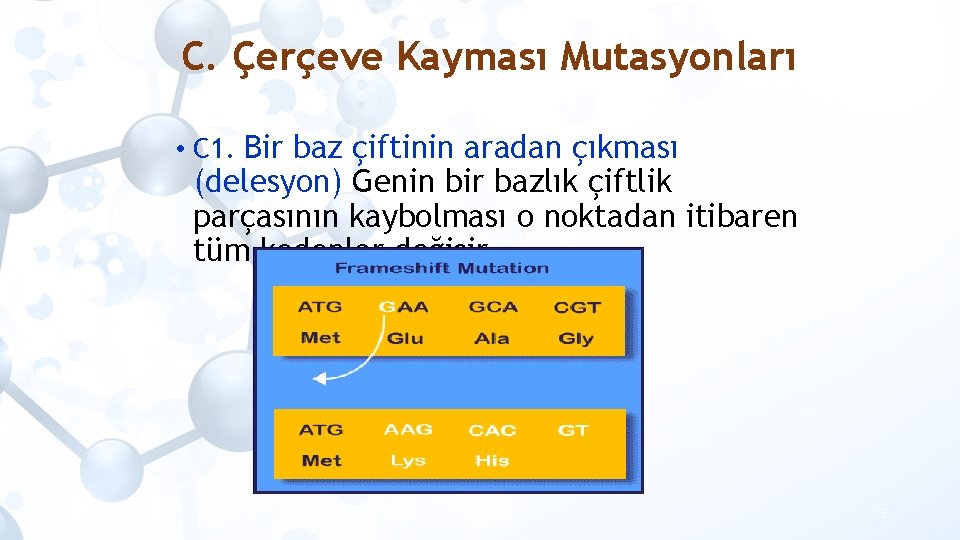 C. Çerçeve Kayması Mutasyonları • C 1. Bir baz çiftinin aradan çıkması (delesyon) Genin