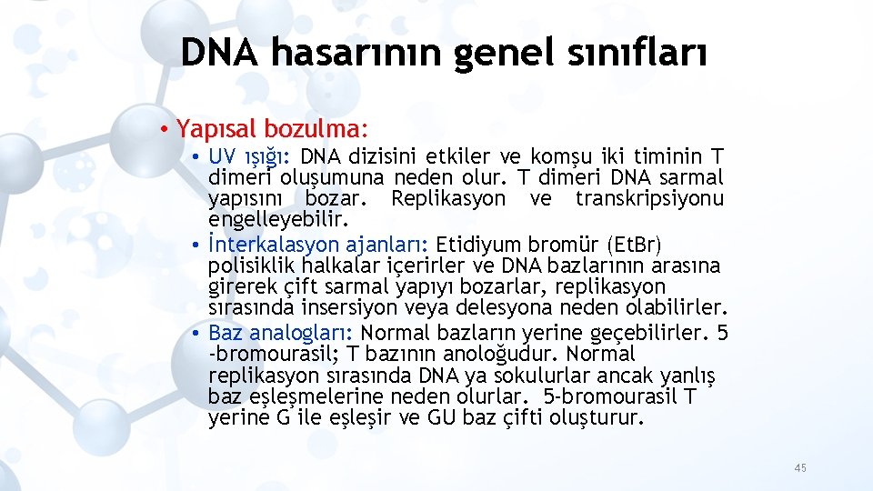 DNA hasarının genel sınıfları • Yapısal bozulma: • UV ışığı: DNA dizisini etkiler ve