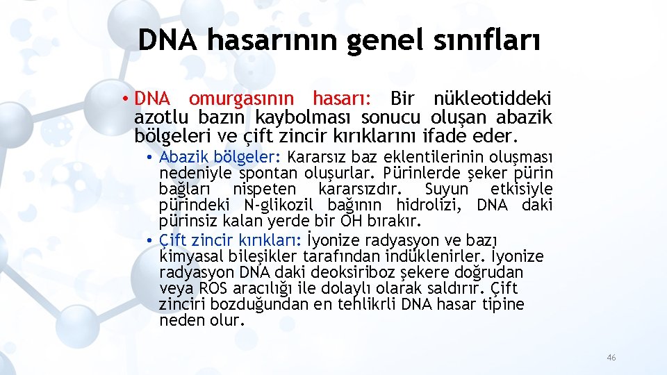 DNA hasarının genel sınıfları • DNA omurgasının hasarı: Bir nükleotiddeki azotlu bazın kaybolması sonucu