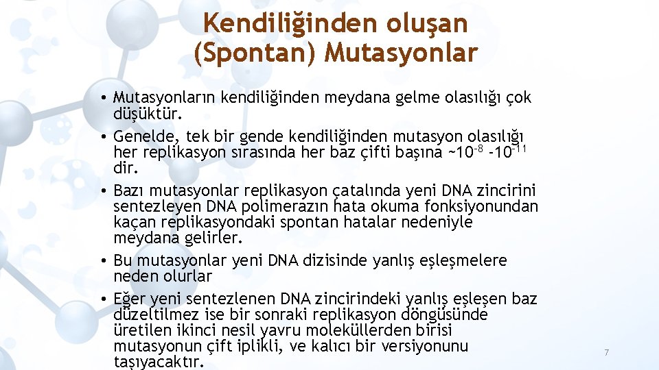 Kendiliğinden oluşan (Spontan) Mutasyonlar • Mutasyonların kendiliğinden meydana gelme olasılığı çok düşüktür. • Genelde,