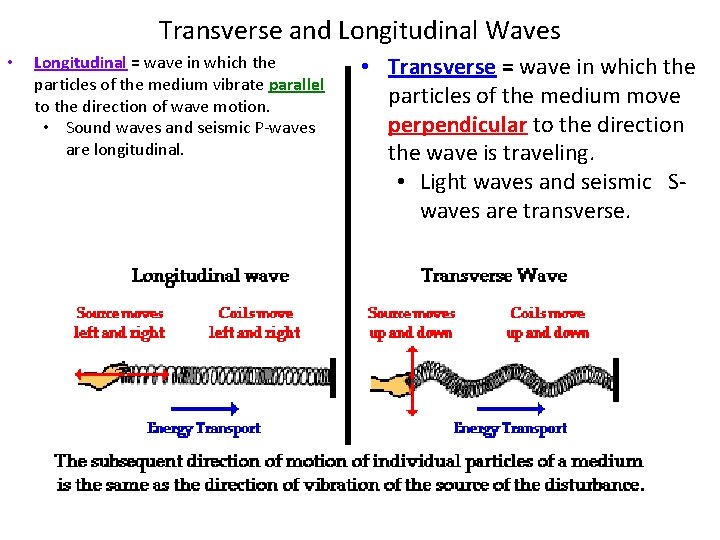 Transverse and Longitudinal Waves • Longitudinal = wave in which the particles of the