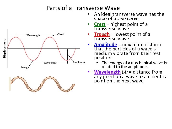 Parts of a Transverse Wave • An ideal transverse wave has the shape of