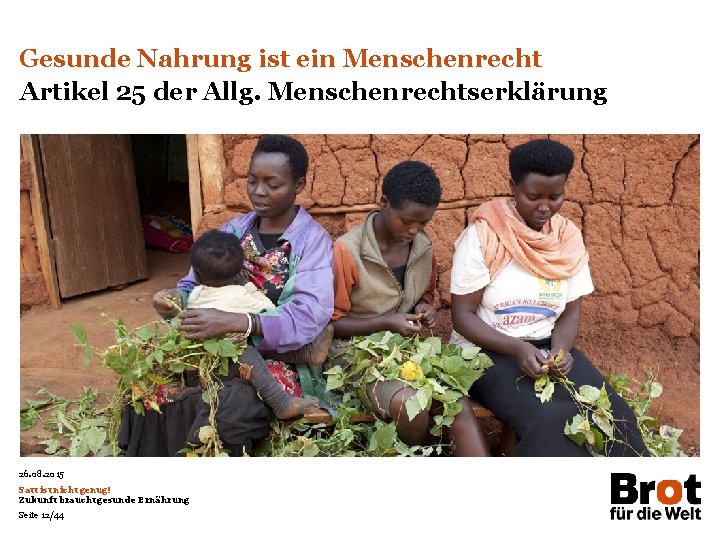 Gesunde Nahrung ist ein Menschenrecht Artikel 25 der Allg. Menschenrechtserklärung 26. 08. 2015 Satt