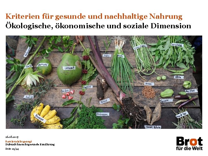 Kriterien für gesunde und nachhaltige Nahrung Ökologische, ökonomische und soziale Dimension 26. 08. 2015