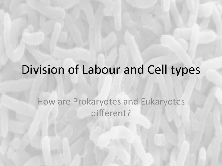 Division of Labour and Cell types How are Prokaryotes and Eukaryotes different? 