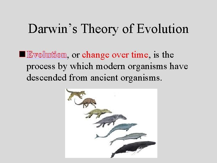 Darwin’s Theory of Evolution n Evolution, or change over time, is the process by