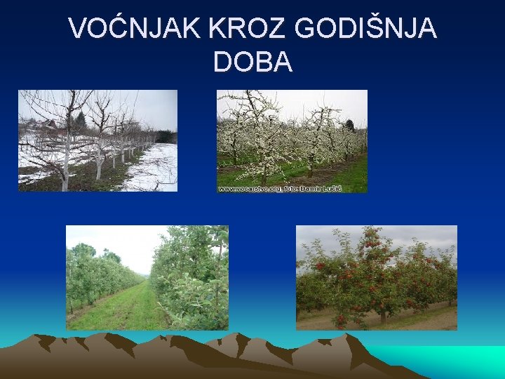 VOĆNJAK KROZ GODIŠNJA DOBA 