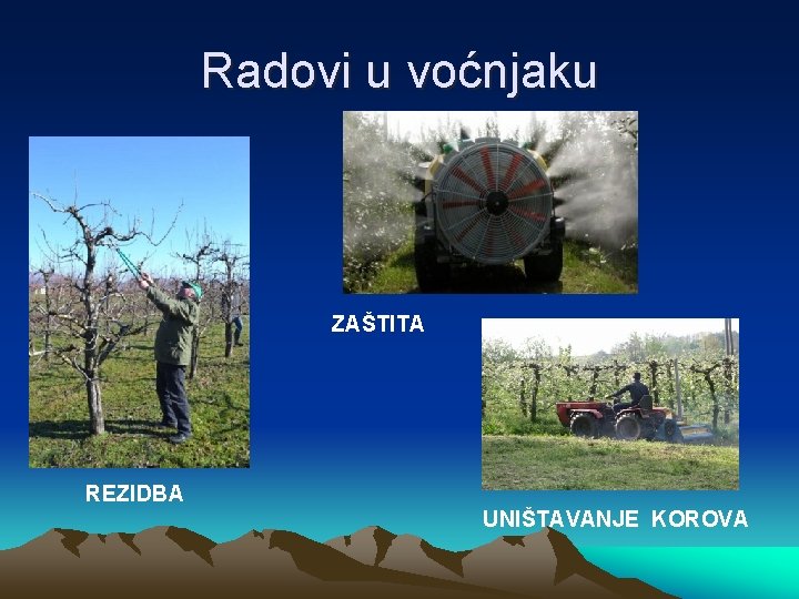 Radovi u voćnjaku ZAŠTITA REZIDBA UNIŠTAVANJE KOROVA 
