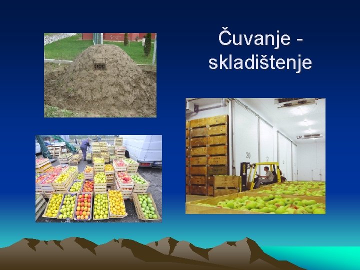 Čuvanje skladištenje 