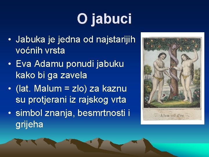 O jabuci • Jabuka je jedna od najstarijih voćnih vrsta • Eva Adamu ponudi