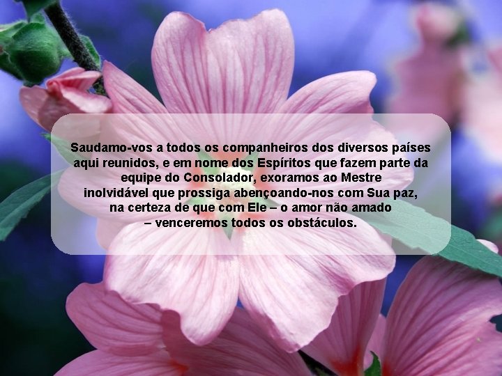 Saudamo-vos a todos os companheiros diversos países aqui reunidos, e em nome dos Espíritos