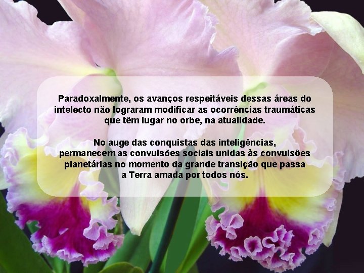 Paradoxalmente, os avanços respeitáveis dessas áreas do intelecto não lograram modificar as ocorrências traumáticas