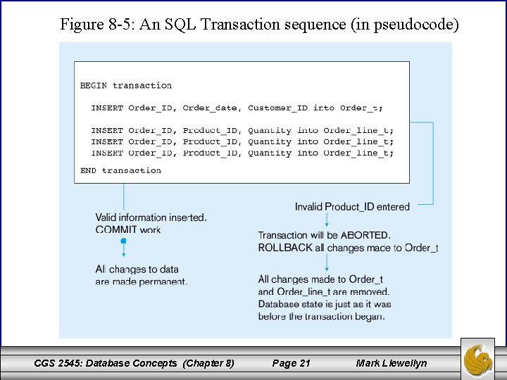 Figure 8 -5: An SQL Transaction sequence (in pseudocode) CGS 2545: Database Concepts (Chapter