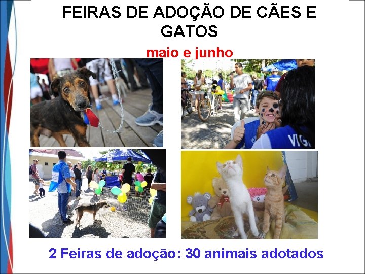 FEIRAS DE ADOÇÃO DE CÃES E GATOS maio e junho 2 Feiras de adoção: