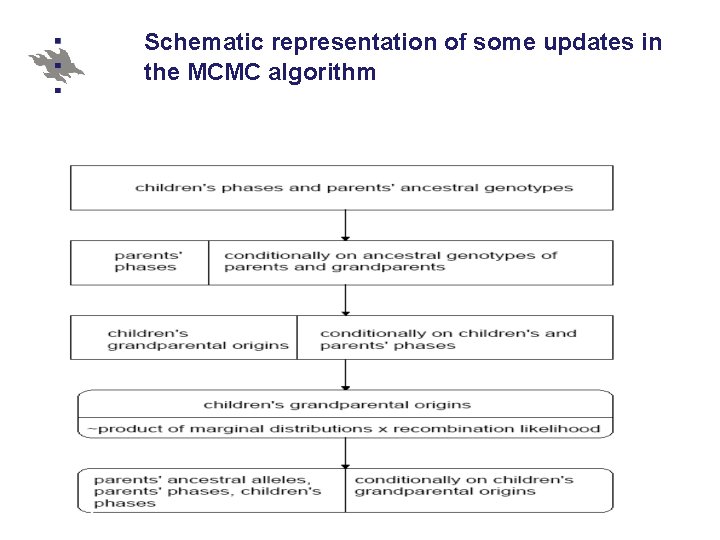 Schematic representation of some updates in the MCMC algorithm 