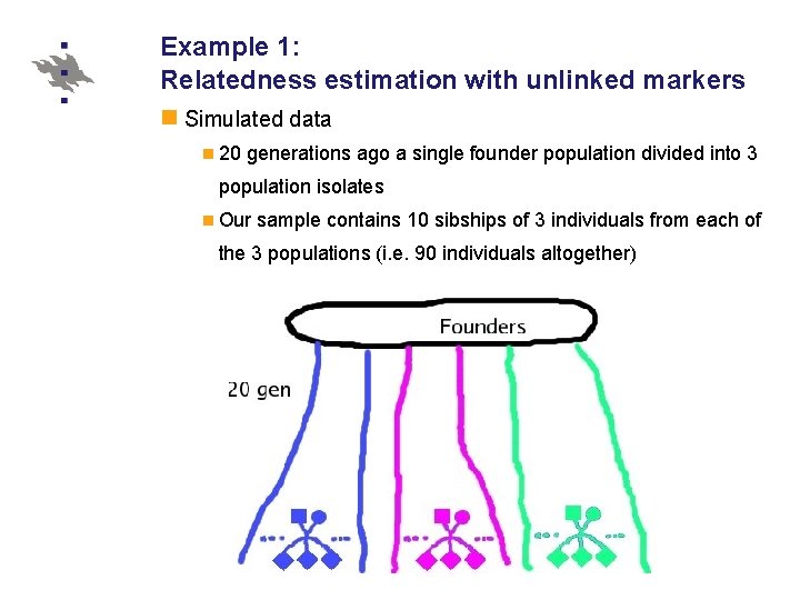 Example 1: Relatedness estimation with unlinked markers Simulated data 20 generations ago a single