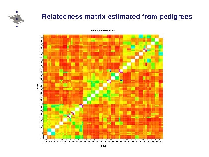 Relatedness matrix estimated from pedigrees 