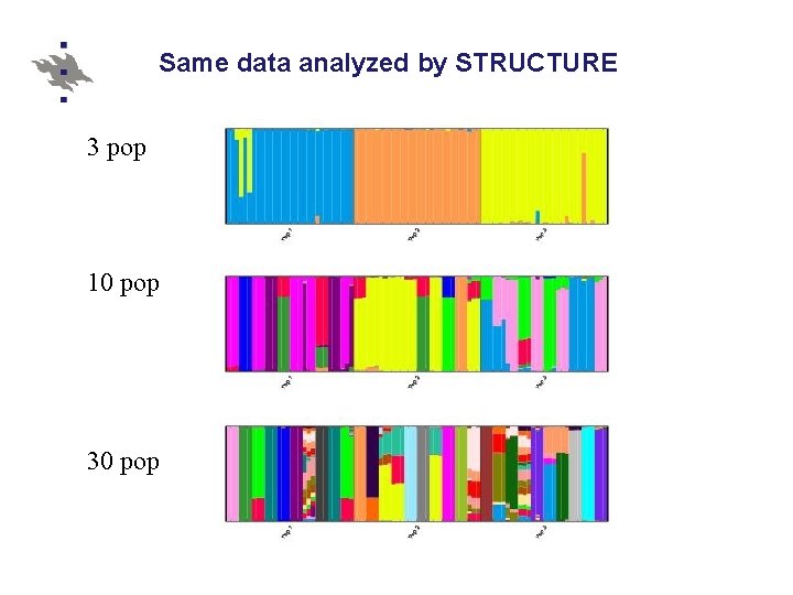 Same data analyzed by STRUCTURE 3 pop 10 pop 30 pop 
