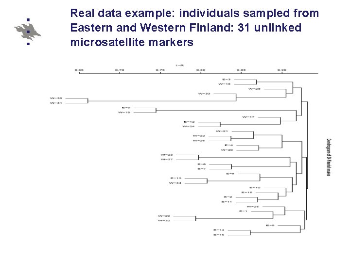 Real data example: individuals sampled from Eastern and Western Finland: 31 unlinked microsatellite markers