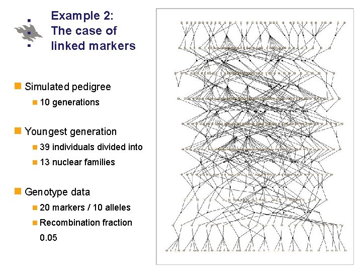 Example 2: The case of linked markers Simulated pedigree 10 generations Youngest generation 39