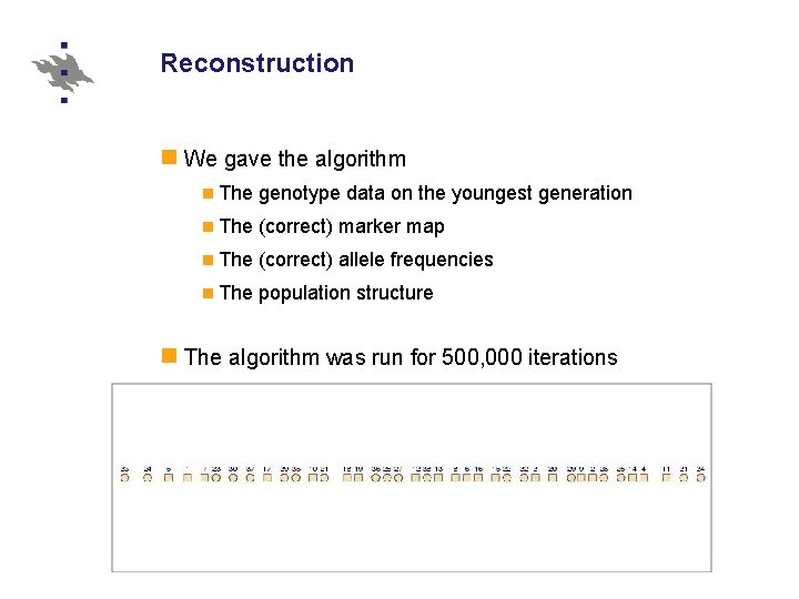 Reconstruction We gave the algorithm The genotype data on the youngest generation The (correct)