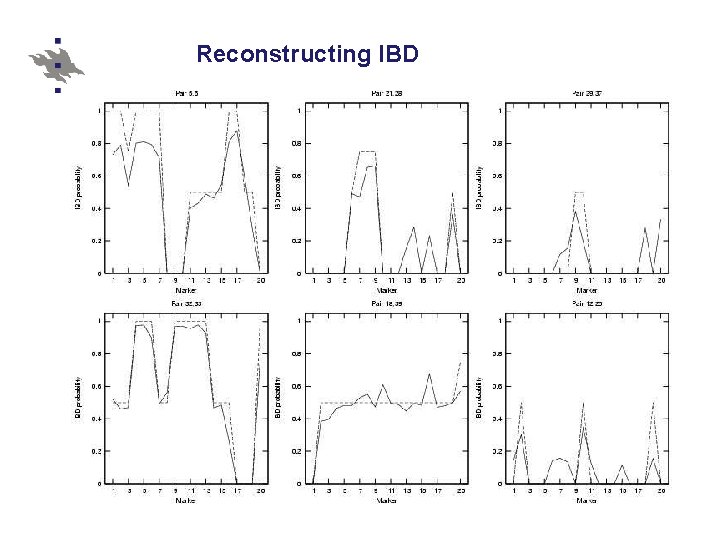 Reconstructing IBD 