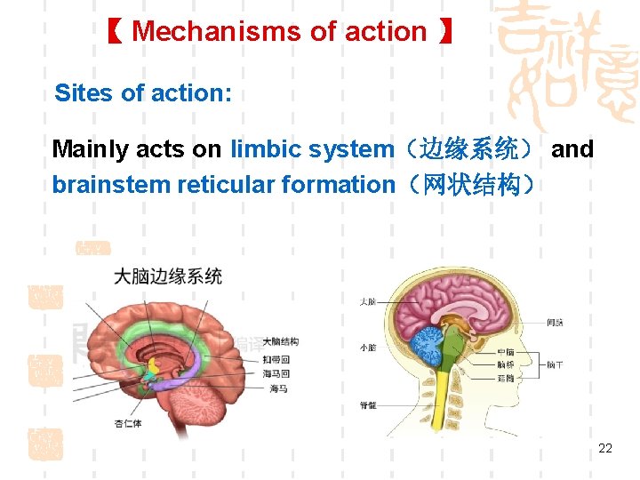 【 Mechanisms of action 】 Sites of action: Mainly acts on limbic system(边缘系统) and 【 Mechanisms of action 】 Sites of action: Mainly acts on limbic system(边缘系统) and