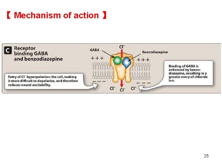【 Mechanism of action 】 25 【 Mechanism of action 】 25