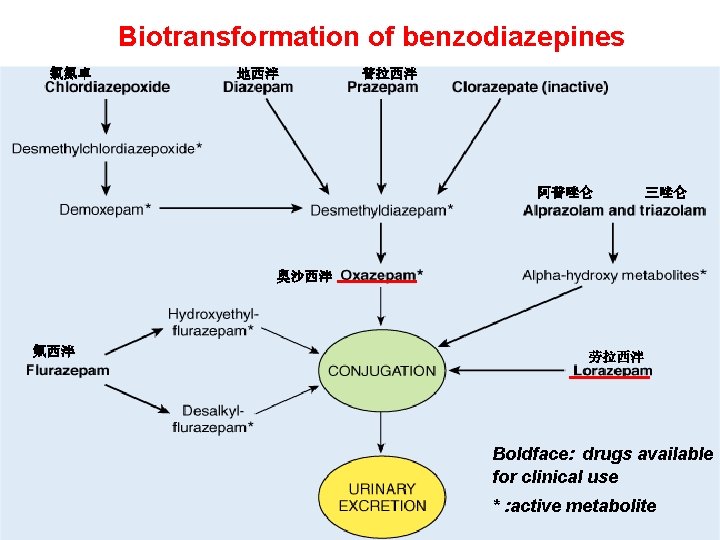 Biotransformation of benzodiazepines 氯氮卓 地西泮 普拉西泮 阿普唑仑 三唑仑 奥沙西泮 氟西泮 劳拉西泮 Boldface: drugs available Biotransformation of benzodiazepines 氯氮卓 地西泮 普拉西泮 阿普唑仑 三唑仑 奥沙西泮 氟西泮 劳拉西泮 Boldface: drugs available
