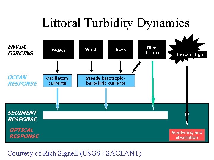 Littoral Turbidity Dynamics ENVIR. FORCING OCEAN RESPONSE SEDIMENT RESPONSE Waves Oscillatory currents Wind Tides