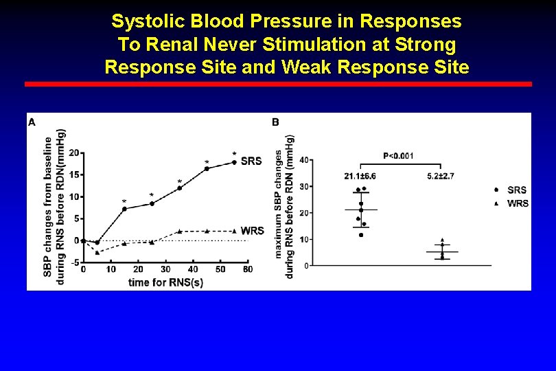 Systolic Blood Pressure in Responses To Renal Never Stimulation at Strong Response Site and Systolic Blood Pressure in Responses To Renal Never Stimulation at Strong Response Site and