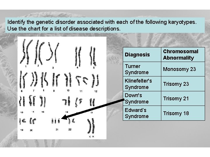 Identify the genetic disorder associated with each of the following karyotypes. Use the chart