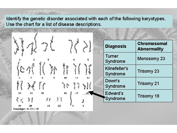 Identify the genetic disorder associated with each of the following karyotypes. Use the chart