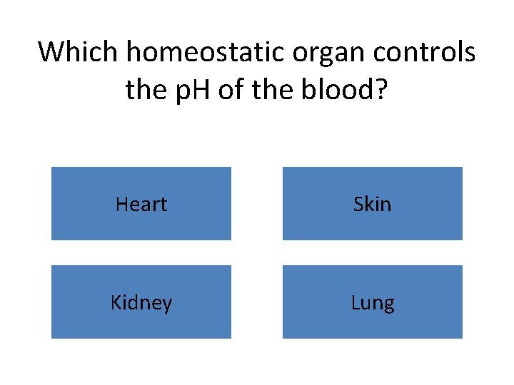 Which homeostatic organ controls the p. H of the blood? Heart Skin Kidney Lung