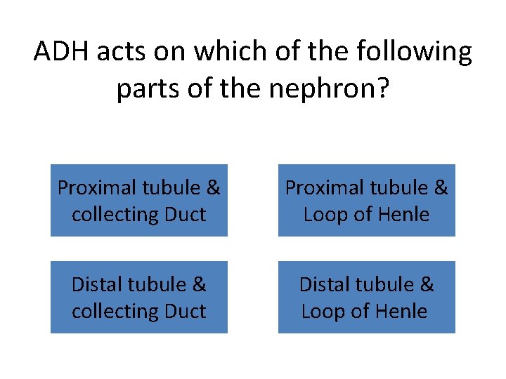 ADH acts on which of the following parts of the nephron? Proximal tubule &