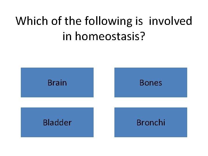 Which of the following is involved in homeostasis? Brain Bones Bladder Bronchi 