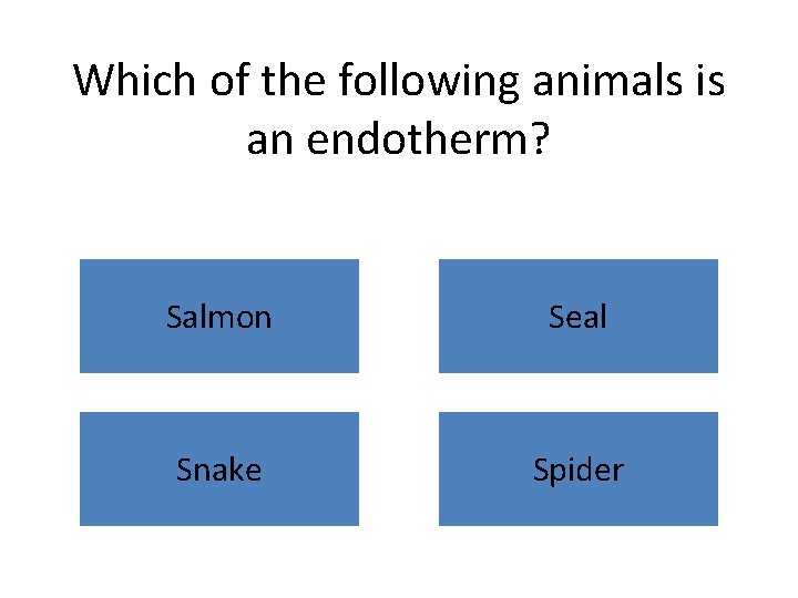 Which of the following animals is an endotherm? Salmon Seal Snake Spider 