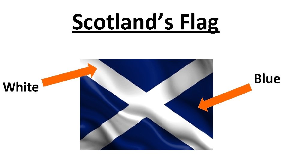 Scotland’s Flag White Blue 