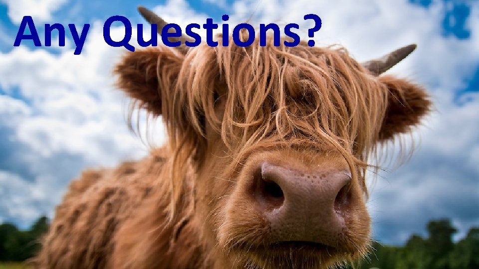 Any Questions? 