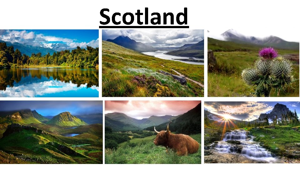 Scotland 