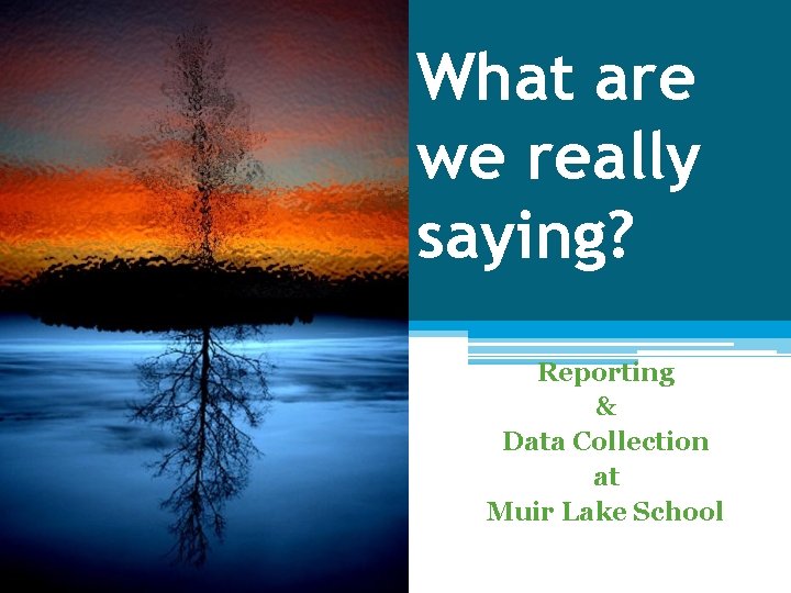 What are we really saying? Reporting & Data Collection at Muir Lake School 