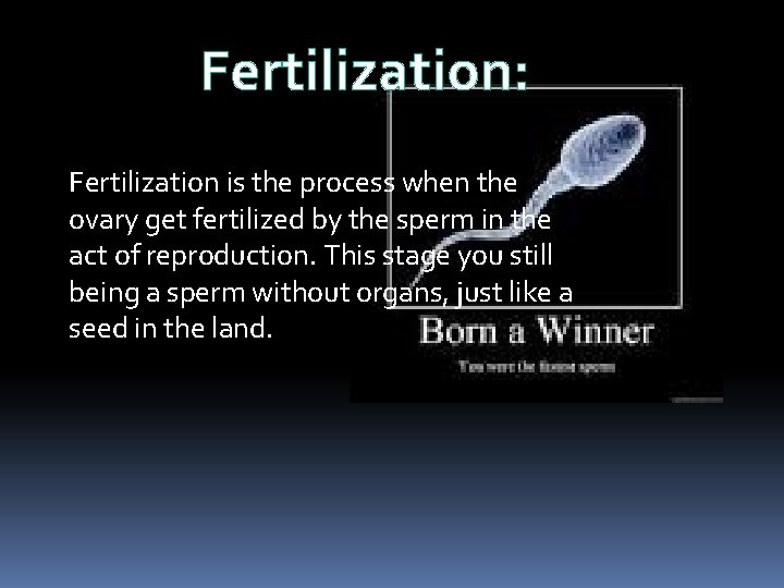 Fertilization: Fertilization is the process when the ovary get fertilized by the sperm in