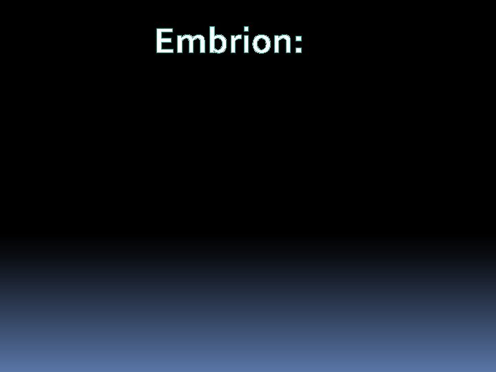 Embrion: 